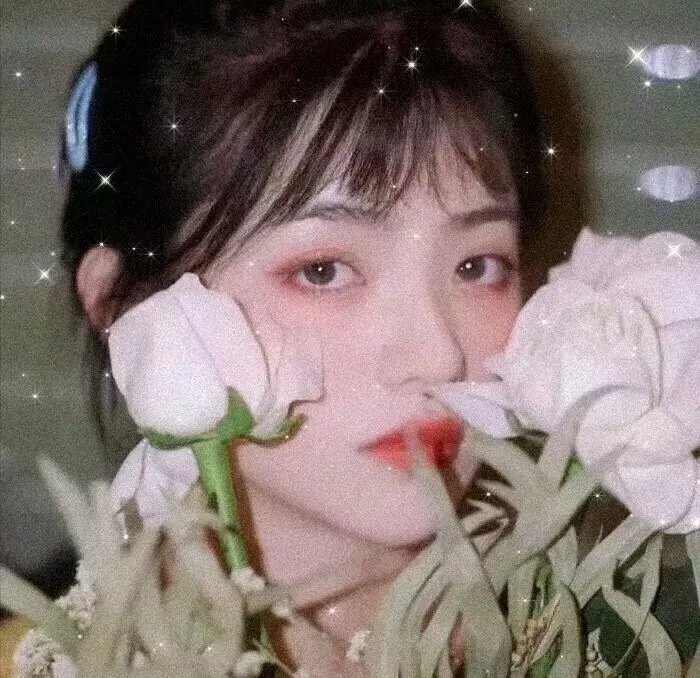 女人们的奇迹