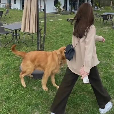 近郊奇情